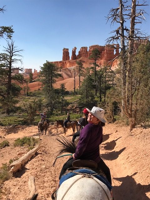 Family mule trekking in Bryce canyon